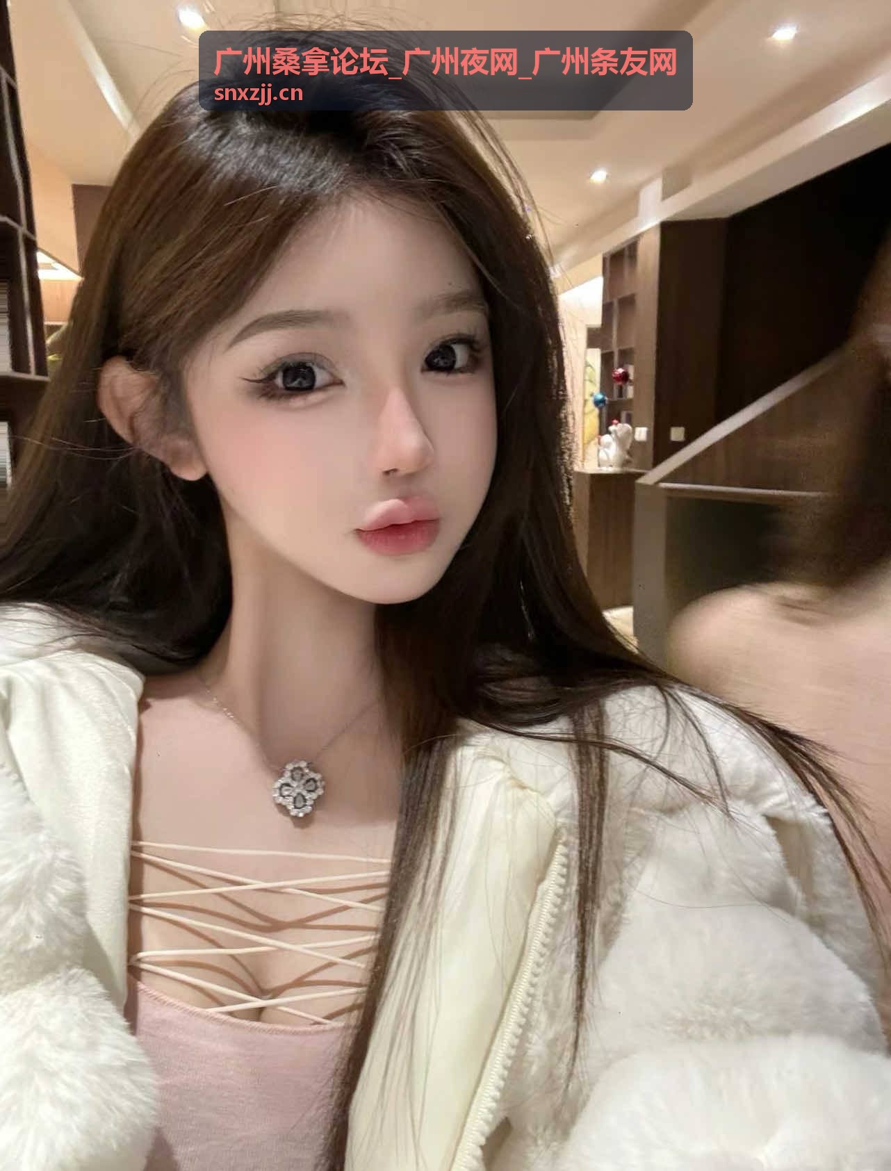 广州桑拿论坛广州夜网新手指南合集封面